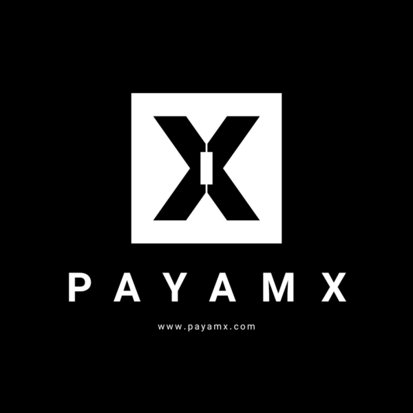 From Code to Countdown: The PayamX Story